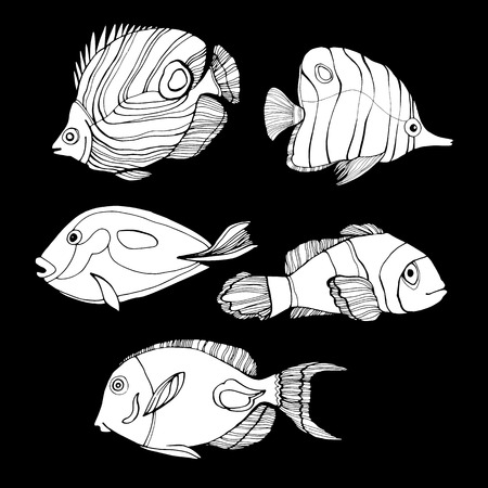 Set of underwater fishes illustrationのイラスト素材