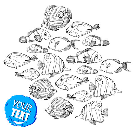 Set of marine fishes in black and white.のイラスト素材