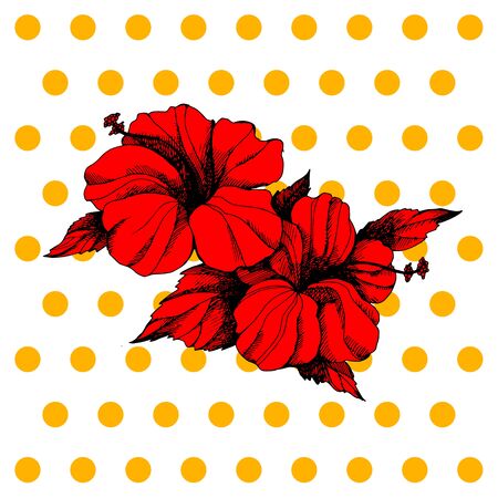 Beautiful vector flowers. Hand drawn flowers vector. Unusual beautiful flowers graphics.のイラスト素材
