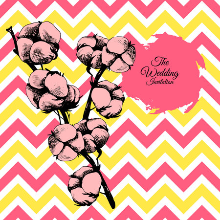 Hand drawn cotton plant in vintage style.のイラスト素材