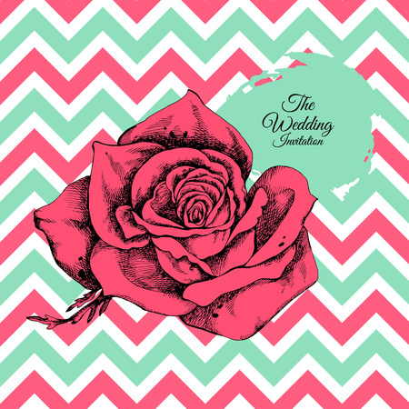 Hand drawn rose vector.のイラスト素材