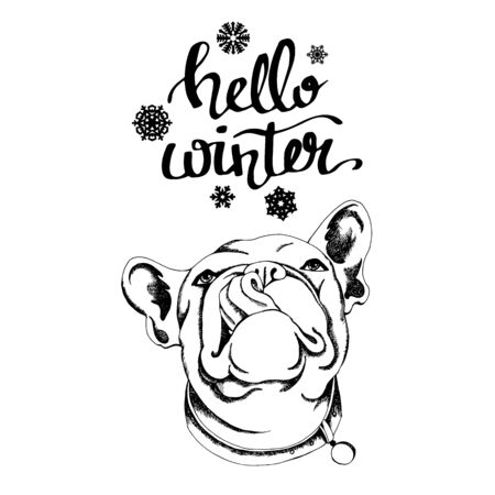 Year, dog, Chinese, new, vector, illustration, symbol, zodiac, bulldog, dog, animal, frenchのイラスト素材