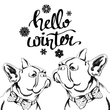 Year, dog, Chinese, new, vector, illustration, symbol, zodiac, bulldog, dog, animal, frenchのイラスト素材