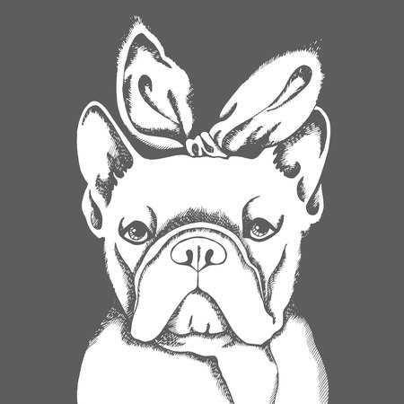 French bulldog. Vector illustration for a card or poster. Print on clothes. Cute puppy. Pedigree dog.のイラスト素材