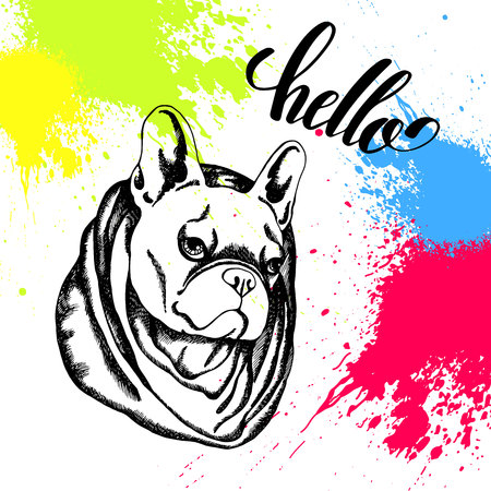 French Bulldog. Vector illustration for a card or poster. Print on clothes. Cute puppy. Pedigree dog.のイラスト素材