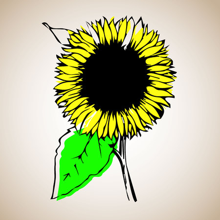 sunflower, nature, blossom, flower, plant, summer, illustration, flora, floralのイラスト素材