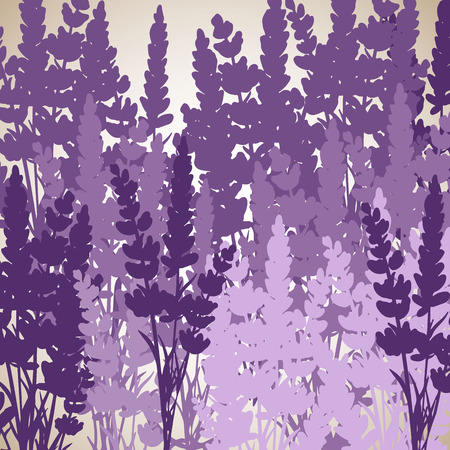 floral, flower, spring, summer, background, botanical, garden, art, nature, blossomのイラスト素材