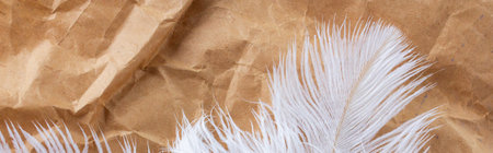 White fluffy ostrich feathers close up on craft paper background with copy space for text, soft and...