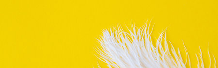 White fluffy ostrich feather close up on yellow background with copy space for text, natural bird feather textureの写真素材