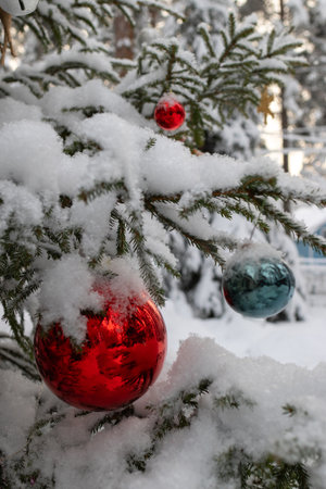 Christmas tree decoration outdoor - large red and golden balls. Winter snowy wonderland. Fir branches covered with snowの写真素材