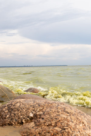 Waves crash against rocks at beach, green flowering water. Summer coastline and nature landscape. Calm and peaceful atmosphere. Environmentの写真素材