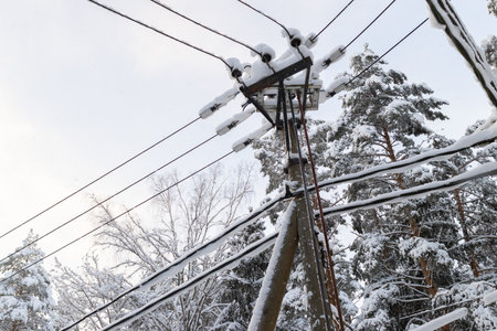 Snow-covered power lines and a utility pole against a winter forest backdrop. The frosty scene highlights the serene beauty of nature intertwined with infrastructure in a snowy landscapeの写真素材