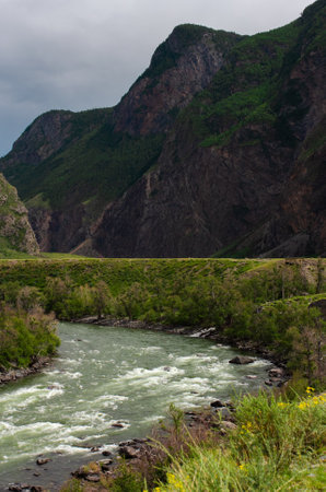 Scenic view of Chulyshman River Valley in Altai with a fast-flowing stream, lush green vegetation and towering mountains under cloudy sky. Travel and landscape photography, vertical shot.の写真素材