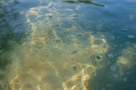Clear tropical water with sunlight reflections creating abstract patterns on sandy bottom. Minimal ocean texture, calm summer atmosphere and natural marine backgroundの写真素材