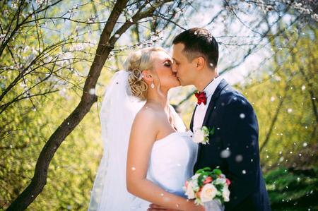 Kissing wedding couple in spring nature close-up portrait. Kissing wedding couple in spring nature close-up portrait outdoor in blooming spring garden. flowering trees wedding bride and groom in loveの写真素材