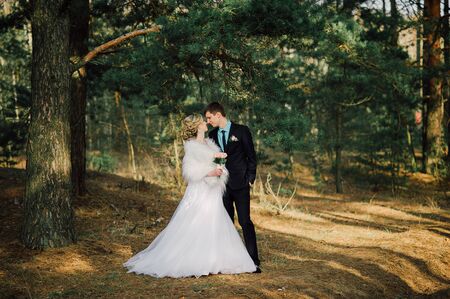 Bride and groom in a park kissing.couple newlyweds bride and groom at a wedding in nature green forest are kissing photo portrait.Wedding Coupleの写真素材