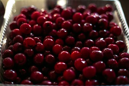 Red Cherries.の写真素材