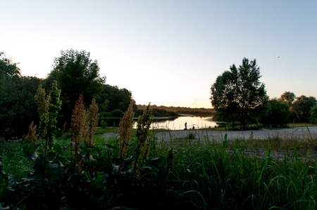 background of bright green grassの写真素材