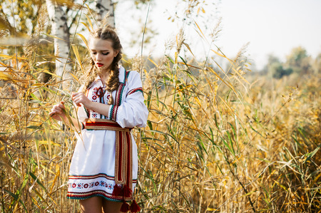 Young girl on the summer field  in national Belarus clothes, fashion.Noisy image. Grain texture is added.の写真素材