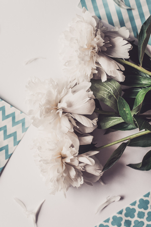 Lone beige peony on white background. Flat lay, top viewの写真素材