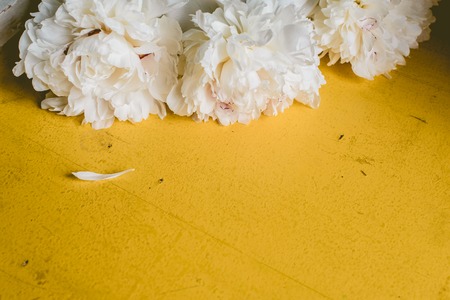 Lone beige white peony on old painted yellow wood grunge background texture.. Flat lay, top view with copy spaceの写真素材