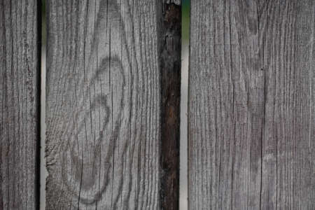Wood Backgroundの写真素材
