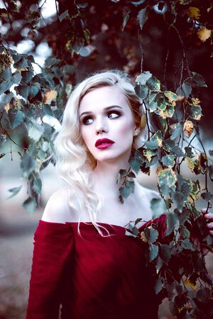 Fashion gorgeous young blonde woman in beautiful red dress in a fairy-tale forest. magic atmosphereの写真素材
