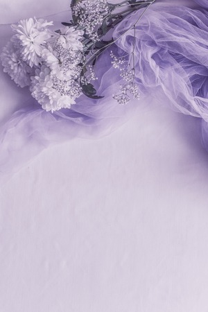 Sweet white flowewrs in soft style for backgroundの写真素材