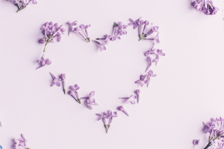Spring flowers. Lilac flowers on white wooden background. Top view, flat lay with copy spaceの写真素材