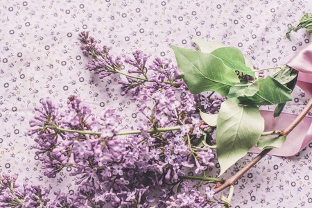 Spring flowers. Lilac flowers on white wooden background. Top view, flat lay with copy spaceの写真素材