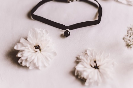 black Velvet Choker Necklacesの写真素材