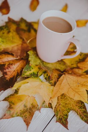 Coffee cup and yellow autumn leaves background. Still life, top of view, flatlay.の写真素材