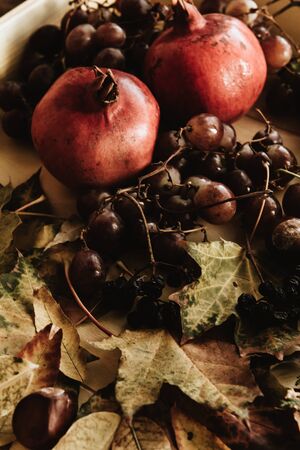 Autumn still life. apple, pumpkin, pomegranate, viburnum, leaves.の写真素材