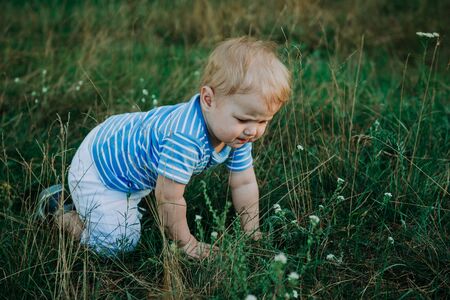 1 year old european cute boy on the grass. Birthday anniversary.の写真素材