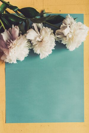 Fresh peony white flowers with paper frame close up, copy space on blue backgroundの写真素材