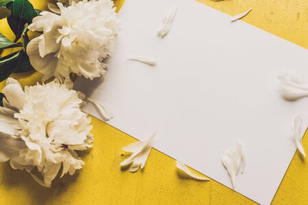 Lone beige white peony on old painted yellow wood grunge background texture.. Flat lay, top view with copy spaceの写真素材