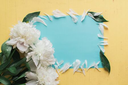 Lone beige white peony on old painted yellow wood grunge background texture.. Flat lay, top view with copy spaceの写真素材