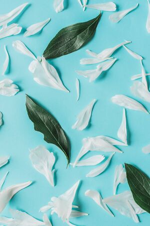 Lone beige white peony on old painted yellow wood grunge background texture.. Flat lay, top view with copy spaceの写真素材