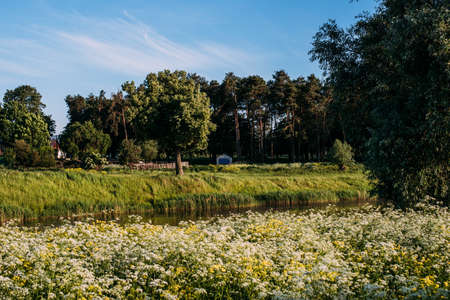 Baby boy 1-2 years old exploring nature in summer, having funの写真素材
