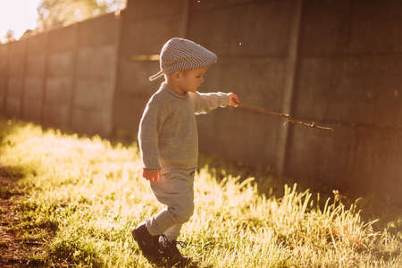 Baby boy 1-2 years old exploring nature in summer, having funの写真素材