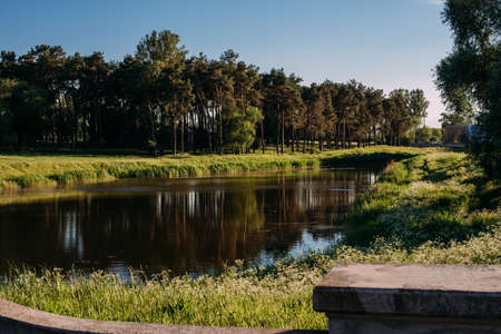 Baby boy 1-2 years old exploring nature in summer, having funの写真素材