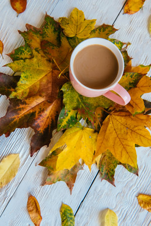 Coffee cup and yellow autumn leaves background. Still life, top of view, flatlay.
