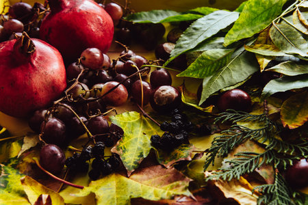 Autumn still life. apple, pumpkin, pomegranate, viburnum, leaves.の写真素材