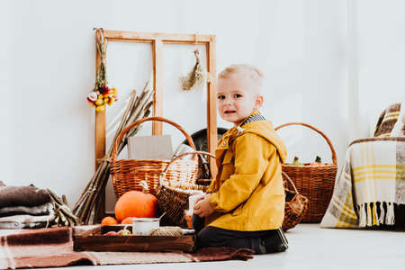 Cool trendy hipster boy 2 years old wears yellow jacket posing at the decorated photozone of autumn decor with beautiful bright autumn leaves. Cosy atmosphereの写真素材