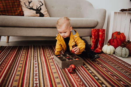 Cool trendy hipster boy 2 years old wears yellow jacket posing at the decorated photozone of autumn decor with beautiful bright autumn leaves. Cosy atmosphereの写真素材