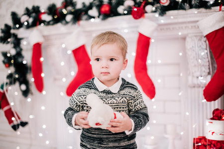Christmas portrait of a young boy cozy atmosphere around the fireplace and Christmas treeの写真素材
