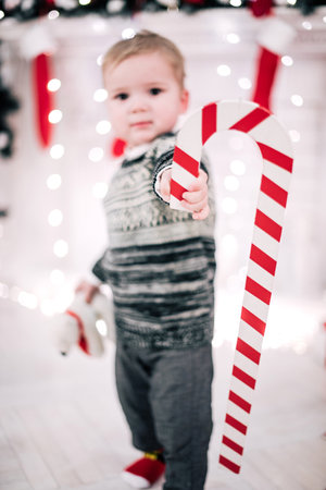 Christmas portrait of a young boy cozy atmosphere around the fireplace and Christmas treeの写真素材