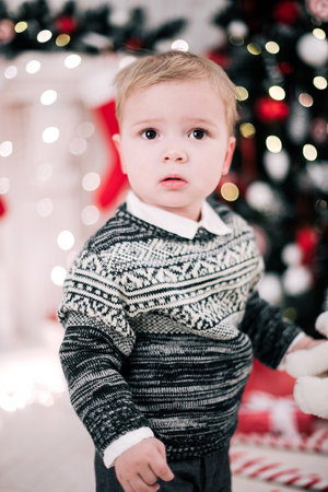 Christmas portrait of a young boy cozy atmosphere around the fireplace and Christmas treeの写真素材