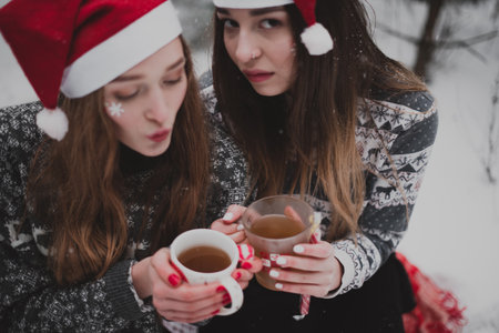 Two young teenage hipster girl friends together.Close up fashion portrait of two sisters hugs and having fun winter time,wearing sweater,best friends couple outdoors, snowy weatherの写真素材