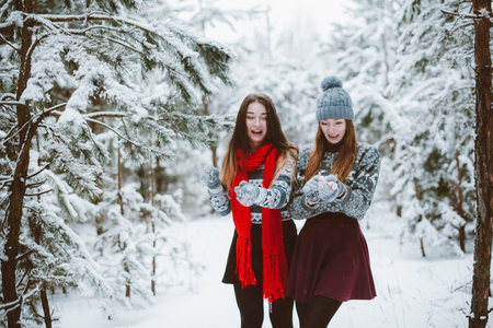 Two young teenage hipster girl friends together.Close up fashion portrait of two sisters hugs and having fun winter time,wearing sweater,best friends couple outdoors, snowy weatherの写真素材